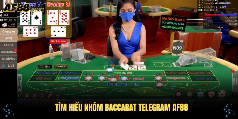 Tìm hiểu nhóm baccarat Telegram AF88 chuyên sâu